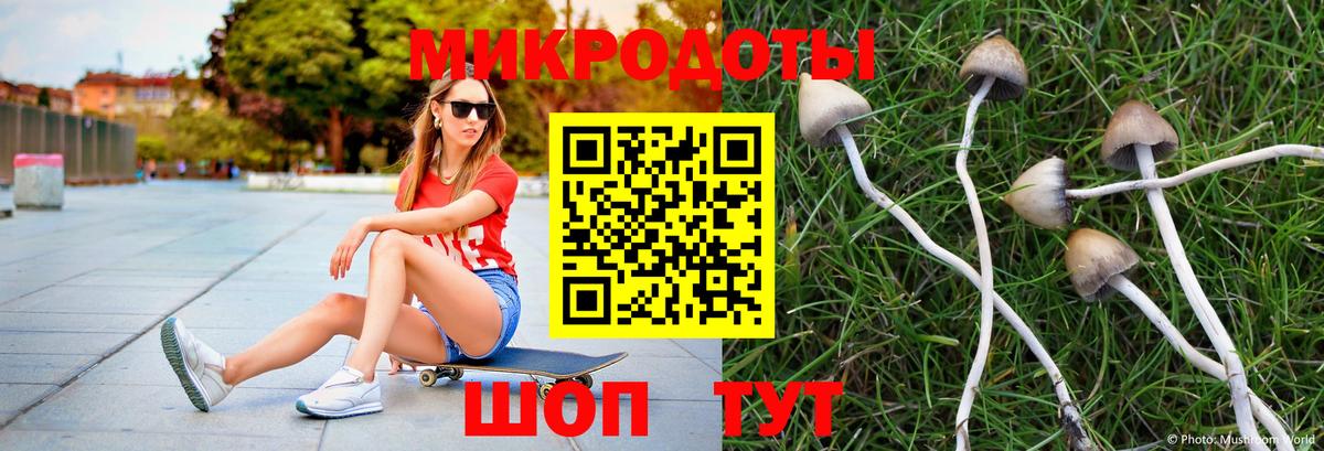 Псилоцибиновые грибы MAGIC MUSHROOMS  Вход с VPN  Кирово-Чепецк 
