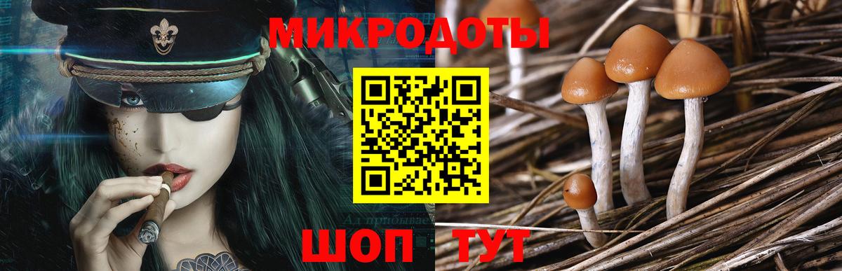 Псилоцибиновые грибы Magic Shrooms Кирово-Чепецк